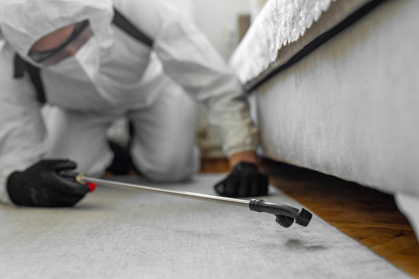 Professional Pest Control technician working in Minnesota, MN